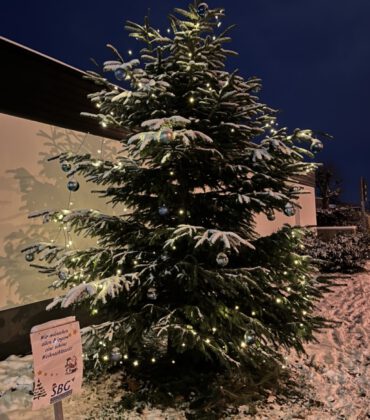 Weihnachtsbaum, geschmückt mit Kugeln und Lichtern, verschneit